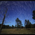 INFOGRAPHIC – How to Build a GREAT Team